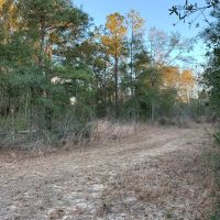 264 acres Recreational Land in Panama City FL images 5
