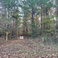 200 - Acres Hunting and TImberland for sale in Clarks LA