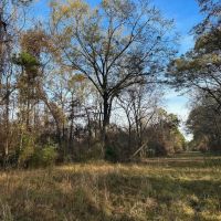 200 - Acres Hunting and TImberland for sale in Clarks LA images 4
