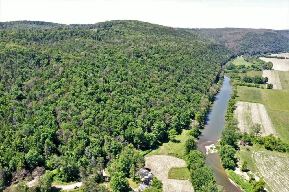 98 acres Timberland and Hunting Land in Addison NY 7620 Lodge Road across from the Canisteo River featured image