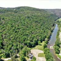 98 acres Timberland and Hunting Land in Addison NY 7620 Lodge Road across from the Canisteo River