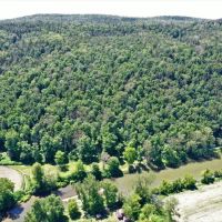 98 acres Timberland and Hunting Land in Addison NY 7620 Lodge Road across from the Canisteo River images 2