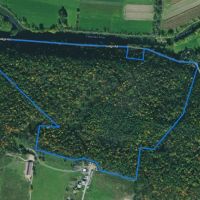 98 acres Timberland and Hunting Land in Addison NY 7620 Lodge Road across from the Canisteo River images 3