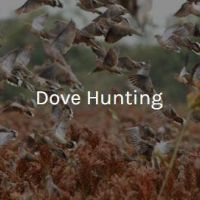 Great hunting land lease today