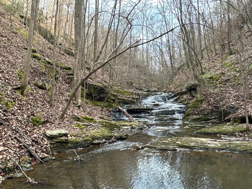 Waterfall creeks home on 75 acres featured image