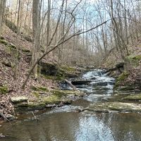 Waterfall creeks home on 75 acres