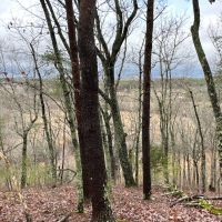 Waterfall creeks home on 75 acres images 2