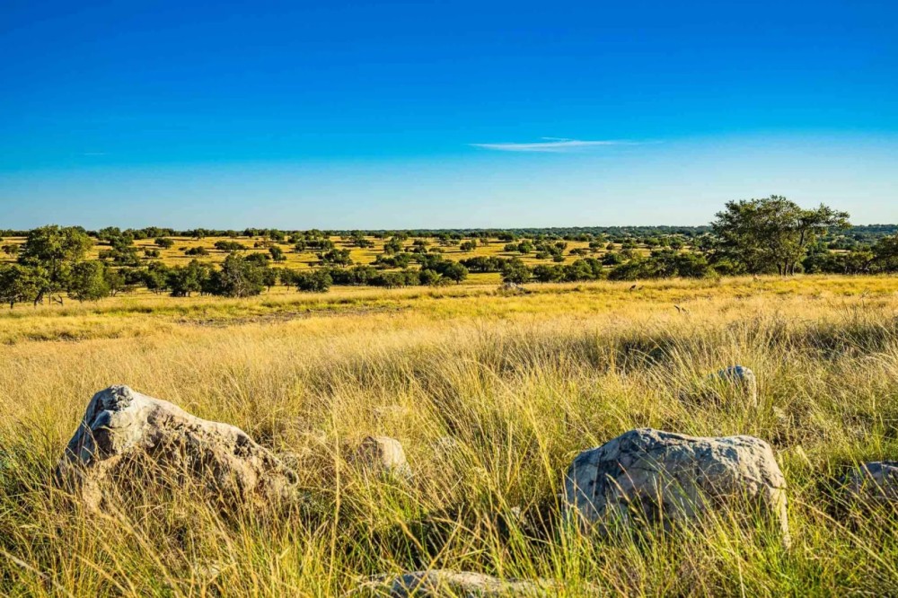 Sutton County Dragoo Draw Ranch W of Junction featured image