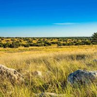 Sutton County Dragoo Draw Ranch W of Junction