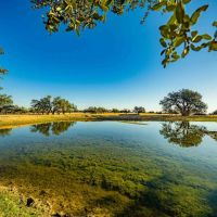 Sutton County Dragoo Draw Ranch W of Junction images 2