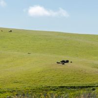 Morrison Ranch images 5