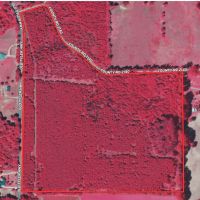 EAST TEXAS LAND FOR SALE SMITH COUNTY WHITEHOUSE LAKE TYLER images 2