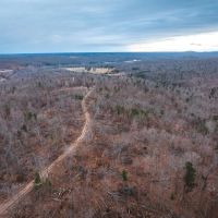 Young Timber Tracts 45 images 2