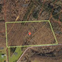 40 acres Wooded Hunting and Recreational Property with Marketable Timber in Taylor NY Hawley Woods Rd. images 3