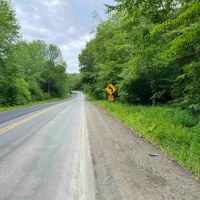 40 acres Wooded Hunting and Recreational Property with Marketable Timber in Taylor NY Hawley Woods Rd. images 5