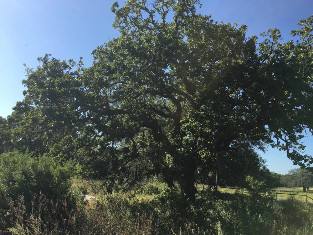 Back on Market 16 - Acres Brown County featured image