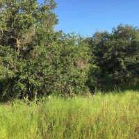 Back on Market 16 - Acres Brown County images 2
