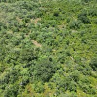 Back on Market 16 - Acres Brown County images 4