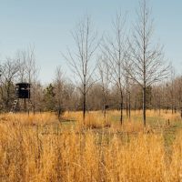559.1 Acres with a Lodge in Quitman County MS images 2