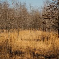 559.1 Acres with a Lodge in Quitman County MS images 3