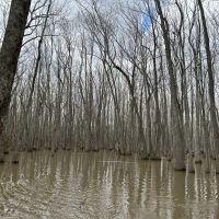 112 Acres in Holmes County MS