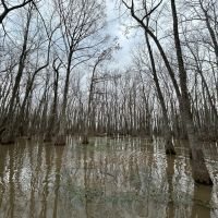 112 Acres in Holmes County MS images 3