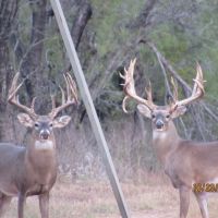 La Parita Creek Ranch images 2