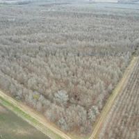 160 Acres in East Carroll Parish in Lake Providence LA