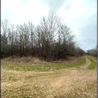 160 Acres in East Carroll Parish in Lake Providence LA images 3