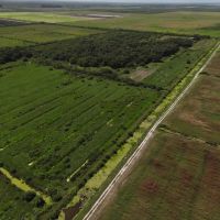 388.4 Acres in Western St. Lucie County Florida images 3