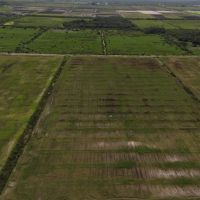388.4 Acres in Western St. Lucie County Florida images 4