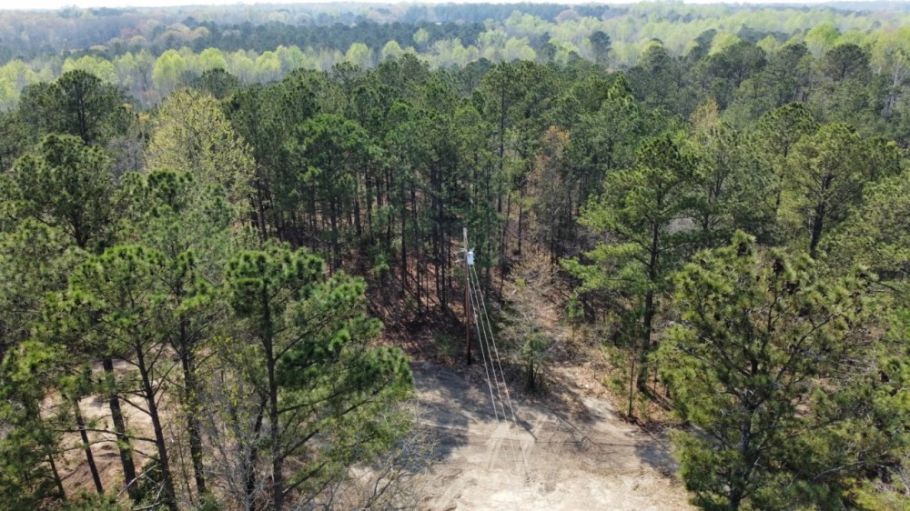 8.5 - Acres Lee County featured image