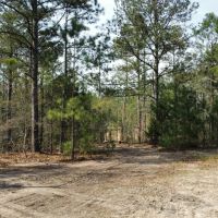 8.5 - Acres Lee County images 3