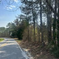 8.5 - Acres Lee County images 4