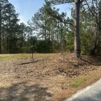 8.5 - Acres Lee County images 5