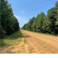 86.1 Acres in Carroll County in West MS images 5