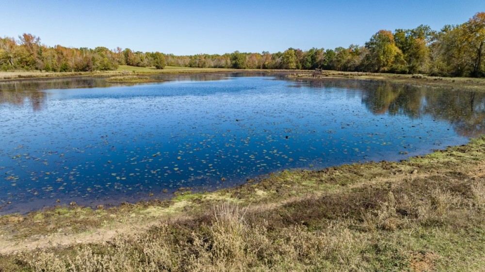 East Texas Legacy Ranch for Sale Rusk County Near Henderson featured image
