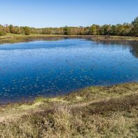 East Texas Legacy Ranch for Sale Rusk County Near Henderson