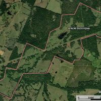 East Texas Legacy Ranch for Sale Rusk County Near Henderson images 2