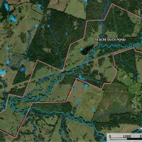 East Texas Legacy Ranch for Sale Rusk County Near Henderson images 3