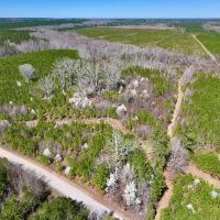 5.30 acres of Creek Front Recreational and Hunting Land For Sale in Warren County NC images 2