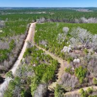 5.30 acres of Creek Front Recreational and Hunting Land For Sale in Warren County NC images 3