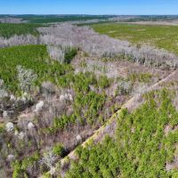 5.30 acres of Creek Front Recreational and Hunting Land For Sale in Warren County NC images 4