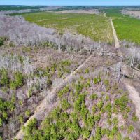 5.30 acres of Creek Front Recreational and Hunting Land For Sale in Warren County NC images 5