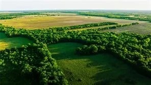 Farm Recreational Land For Sale Clarksville TX featured image