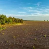 Farm Recreational Land For Sale Clarksville TX images 4
