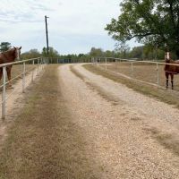 SW Miss House With 88 Acres and 6 Ponds images 5