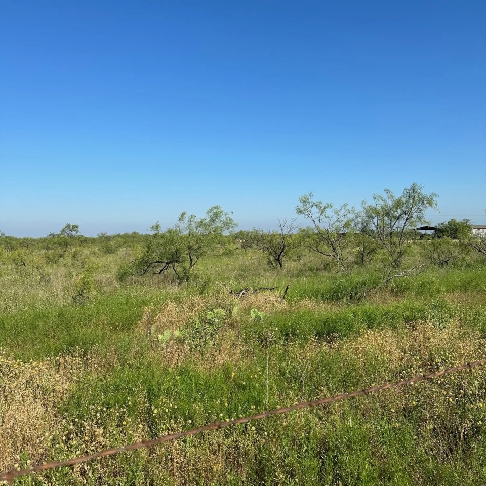 New Listing 10.5 Acres Tract 20 Shackelford County featured image
