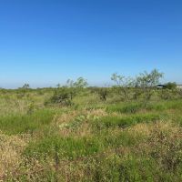 New Listing 10.5 Acres Tract 20 Shackelford County