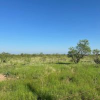 New Listing 10.5 Acres Tract 20 Shackelford County images 2
